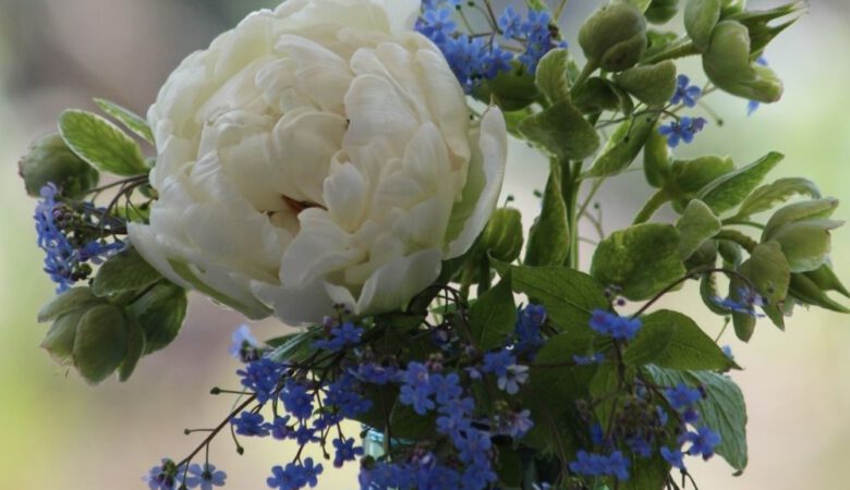 Frühlings-Blumenstrauß mit Brunnera